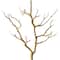 Branche de bouleau nue d’Ashland, 101,6 cm
